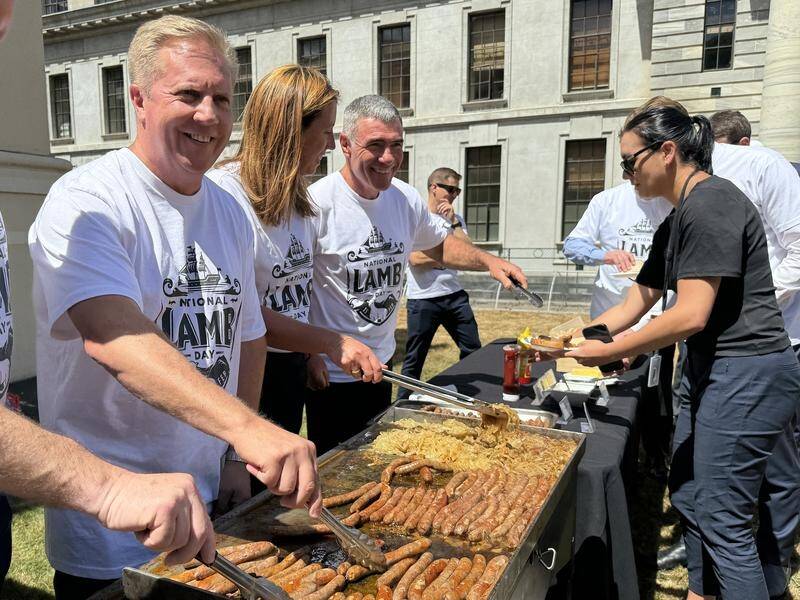 NZ government MPs have attended a National Lamb Day barbecue outside parliament in Weillington. (Ben McKay/AAP PHOTOS)