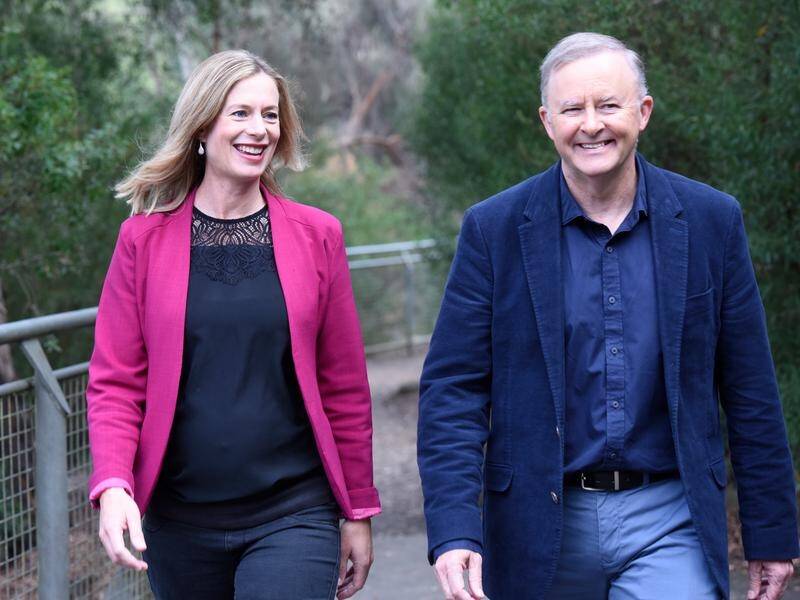 Anthony Albanese has backed Tasmanian Labor leader Rebecca White's campaign, despite infighting.