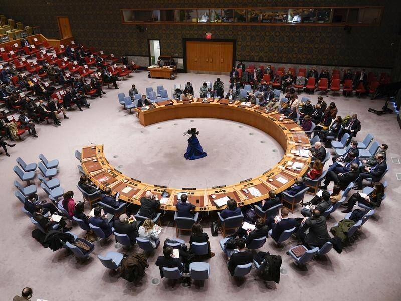 The United Nations Security Council has backed an arms embargo on the Houthis proposed by the UAE.