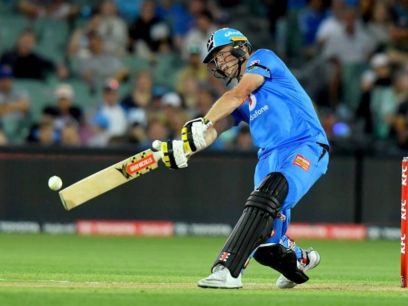 Phil Salt says Adelaide Strikers fear no-one despite Sunday's BBL loss to Hobart Hurricanes.