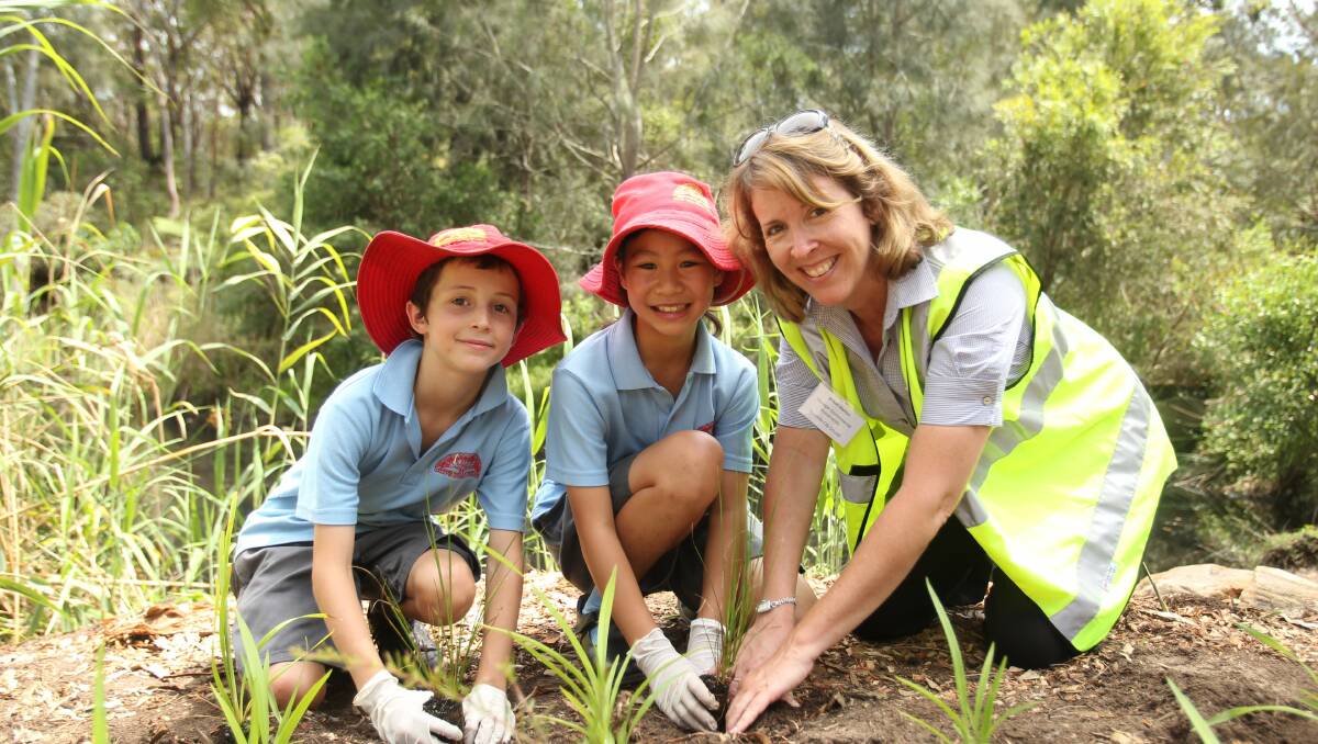 Oatley West Public School students dig deep to aid fight to save Lime ...