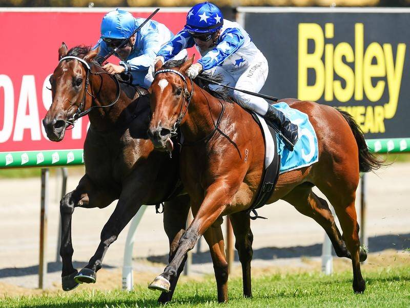 Queen Kay won in her only start, taking out the two-year-old race at the Gold Coast on January 4.