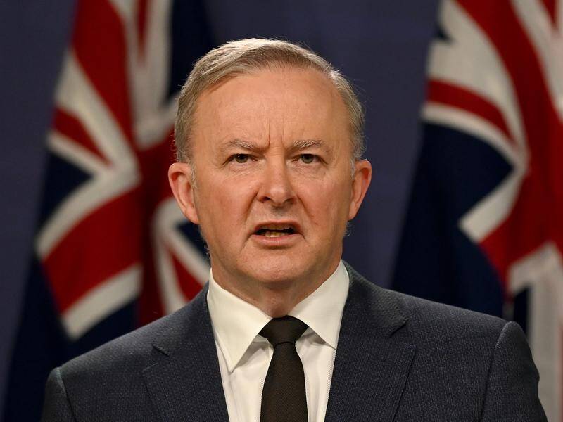 Opposition Leader Anthony Albanese has been criticised for making "captain's pick" pre-selections.