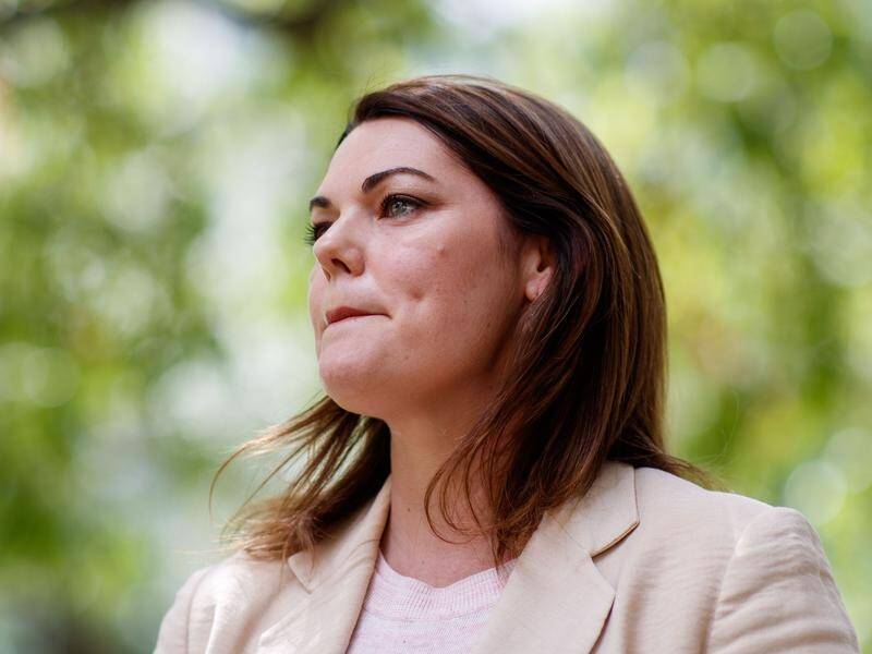 Sarah Hanson-Young says the government failed to support live performers during COVID lockdowns.