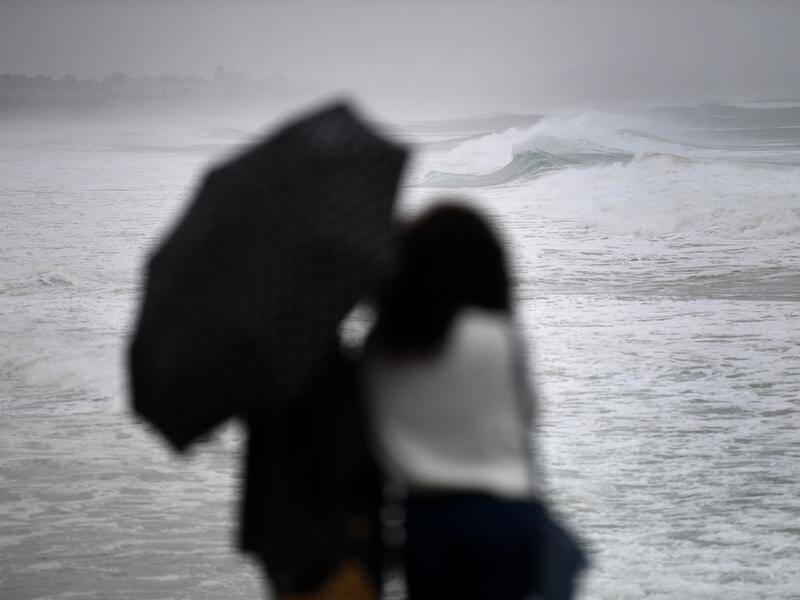 Unusual autumn thunderstorms are expected to hit much of the NSW coast.
