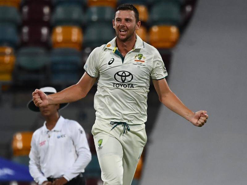 Josh Hazelwood has rocketed to No.2 in the world Test bowling rankings with his NZ displays. (Jono Searle/AAP PHOTOS)