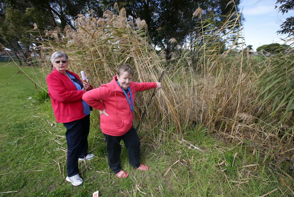 Overrun: Patricia Crane (left) and Helen Barclay want action to clean Bado-Berong creek at Sans Souci. Picture: John Veage