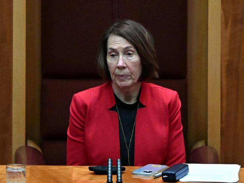 Senate president Sue Lines addressed the committee developing rules for the parliament workplace. (Mick Tsikas/AAP PHOTOS)