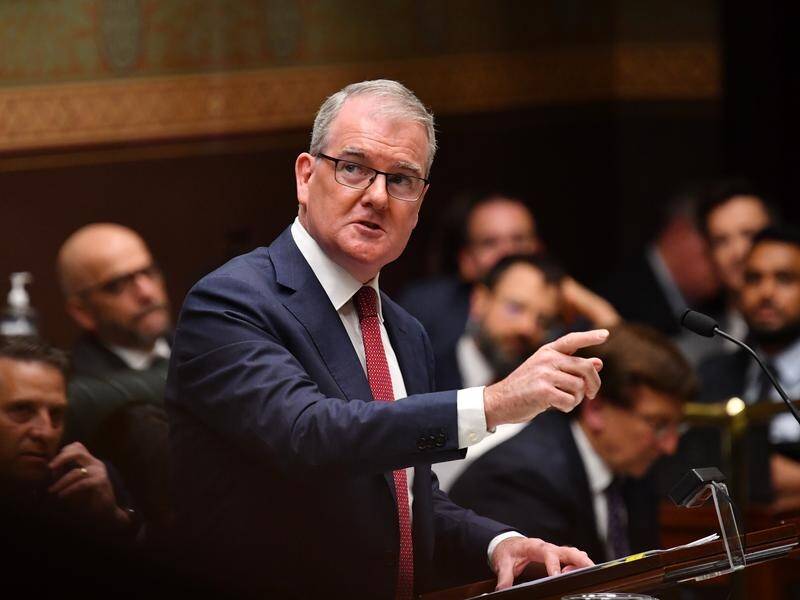 NSW Attorney General Michael Daley had disputed that private prosections would be a problem. (Bianca De Marchi/AAP PHOTOS)