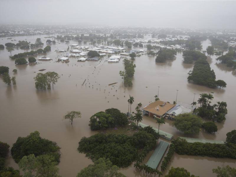 North Queensland floods have so far resulted in 11,800 insurance claims amounting to $147 million.