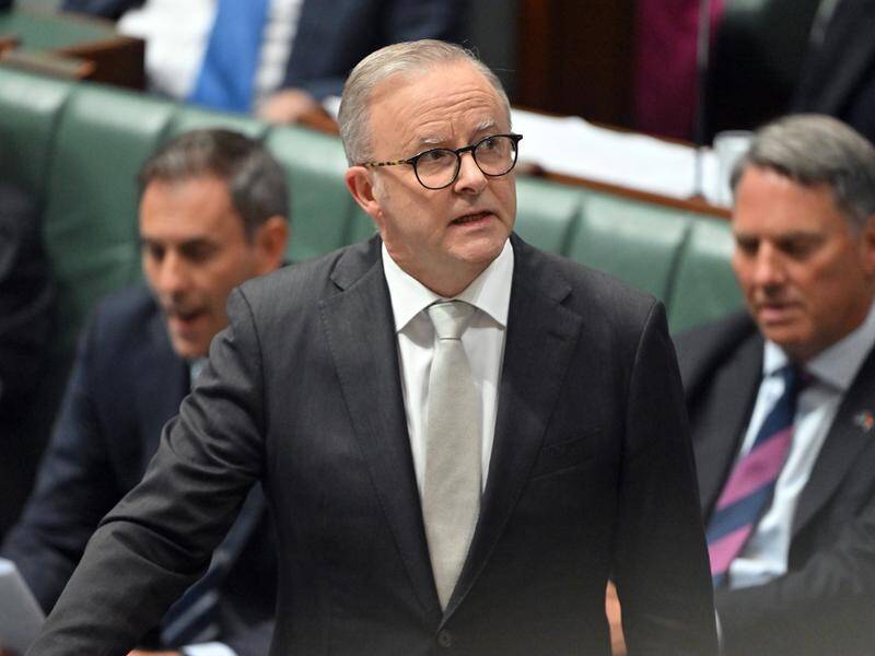 Anthony Albanese says the malicious publication of personal information online is unacceptable. (Esther Linder/AAP PHOTOS)