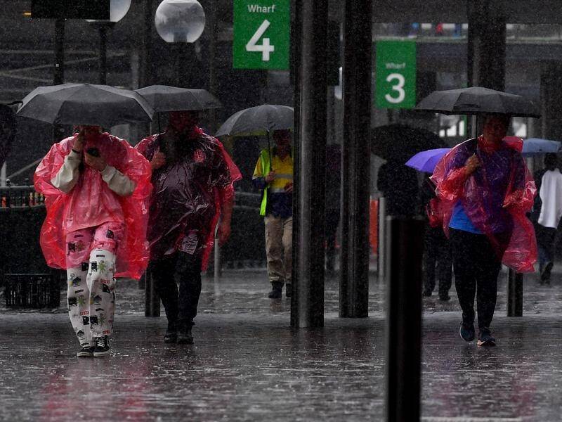Above median rainfall is likely for most of eastern Australia in the next fortnight. (Bianca De Marchi/AAP PHOTOS)