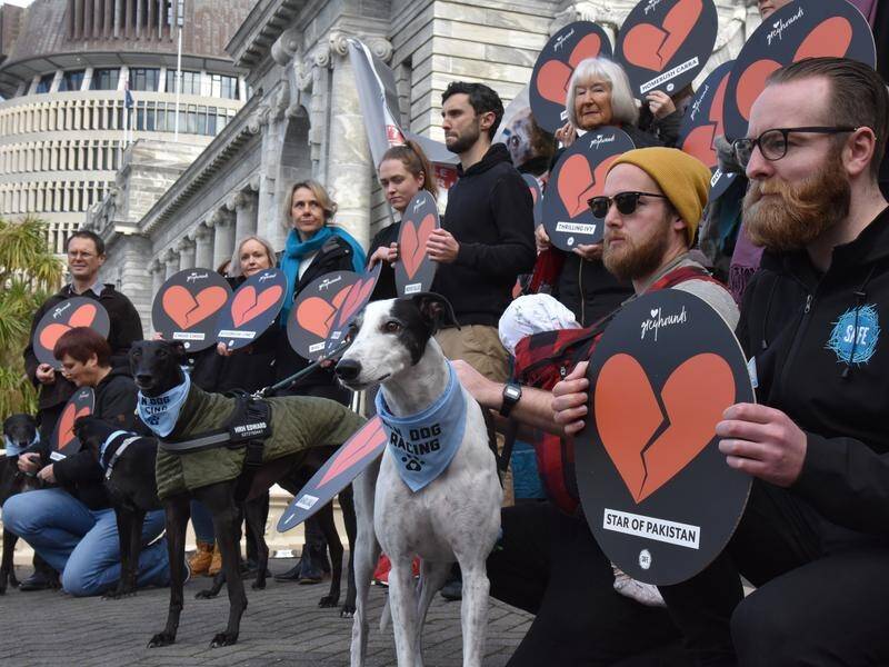 Animal welfare advocates have demanded the New Zealand government ban greyhound racing.