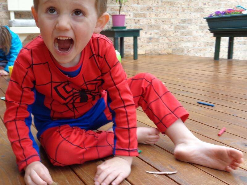 William Tyrrell was three when he vanished from the garden of his foster grandmother's home in NSW.