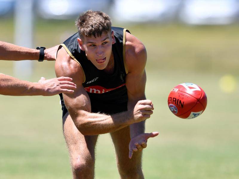 Collingwood's Brayden Sier has been sidelined from the AFL in recent weeks due to injury.