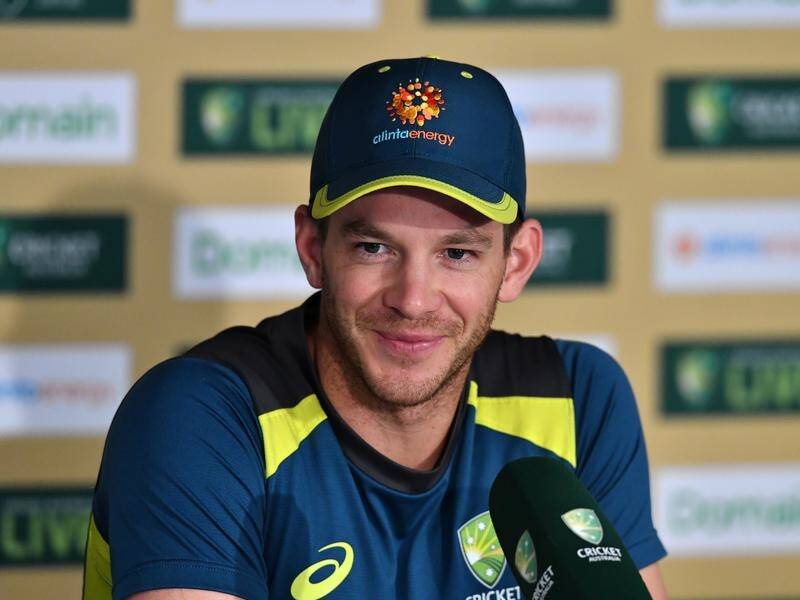 Tim Paine hopes to see the Gabba wicket provide plenty of bounce for his quicks against Sri Lanka.