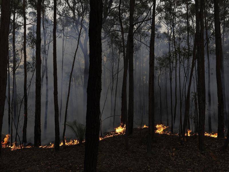An independent NSW inquiry into the summer's unprecedented bushfires is visiting affected areas.