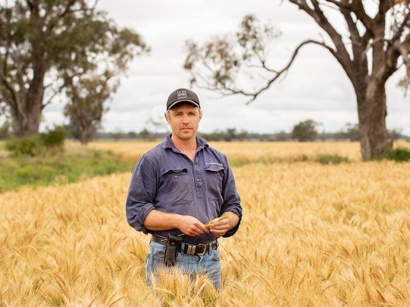 Wheat farmer Oscar Pearse says 2021 has been an exceptional year on the land.