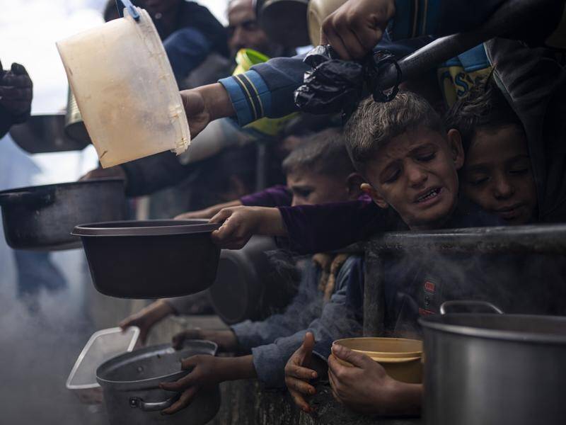 Over one million Gazans, half the population, are experiencing "catastrophic" shortages of food. (AP PHOTO)