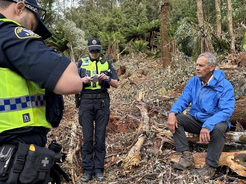 Bob Brown is one of three people arrested over an overnight protest against logging in Tasmania. (HANDOUT/BOB BROWN FOUNDATION)
