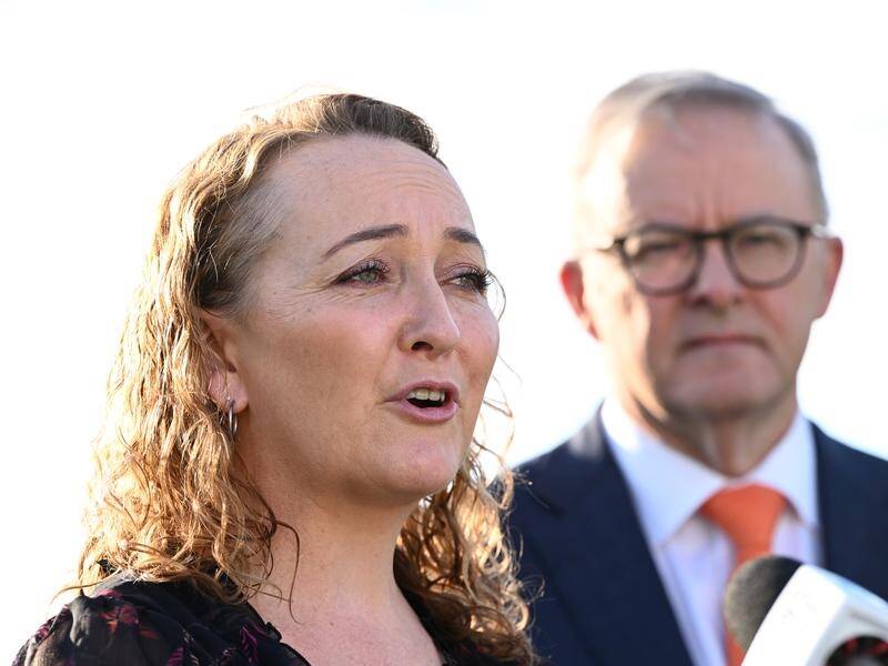 Labor's candidate to replace Alan Tudge in Aston, Mary Doyle, will focus on health care. (Joel Carrett/AAP PHOTOS)