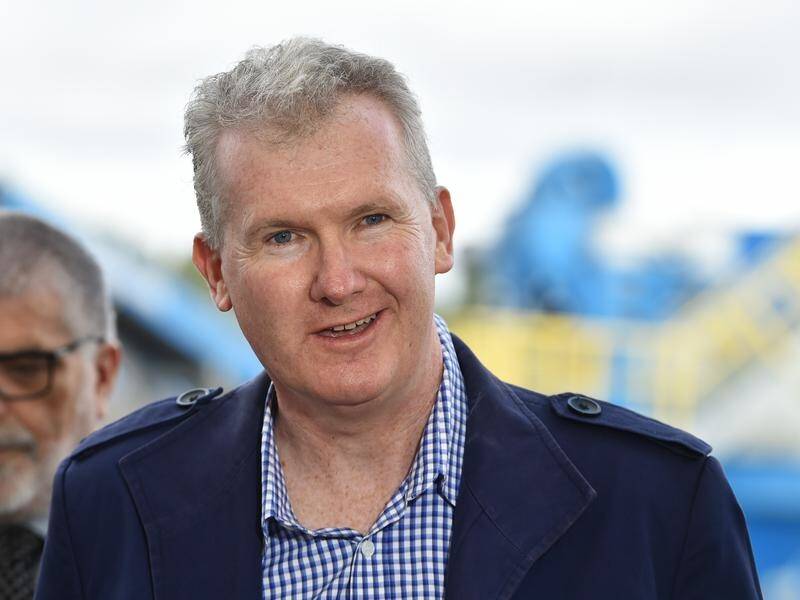 Labor's Tony Burke says the party shouldn't dump its ambitious carbon emissions reduction target.