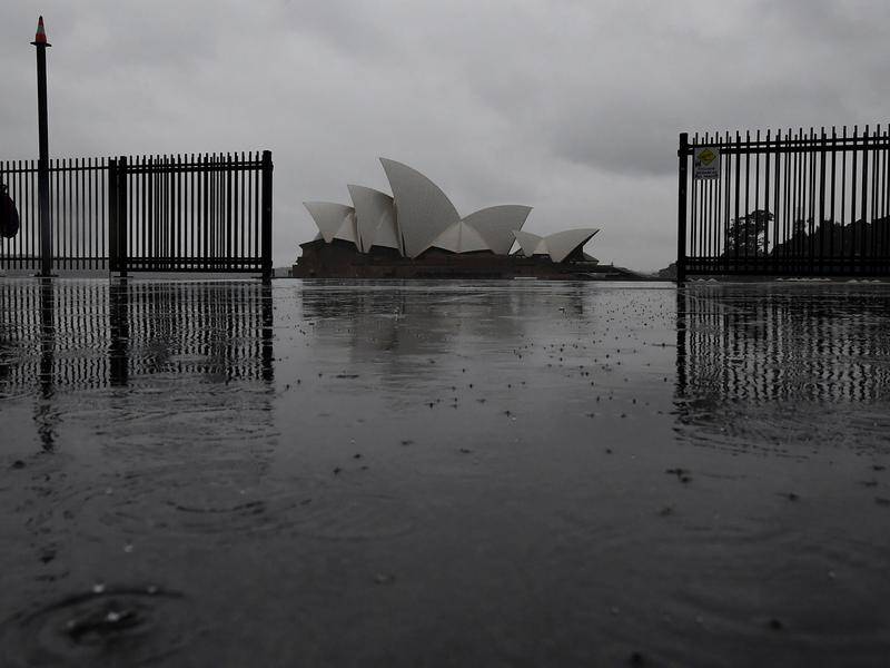 More damaging winds and rain has been forecast for Sydney, the Illawarra and South Coast in NSW.