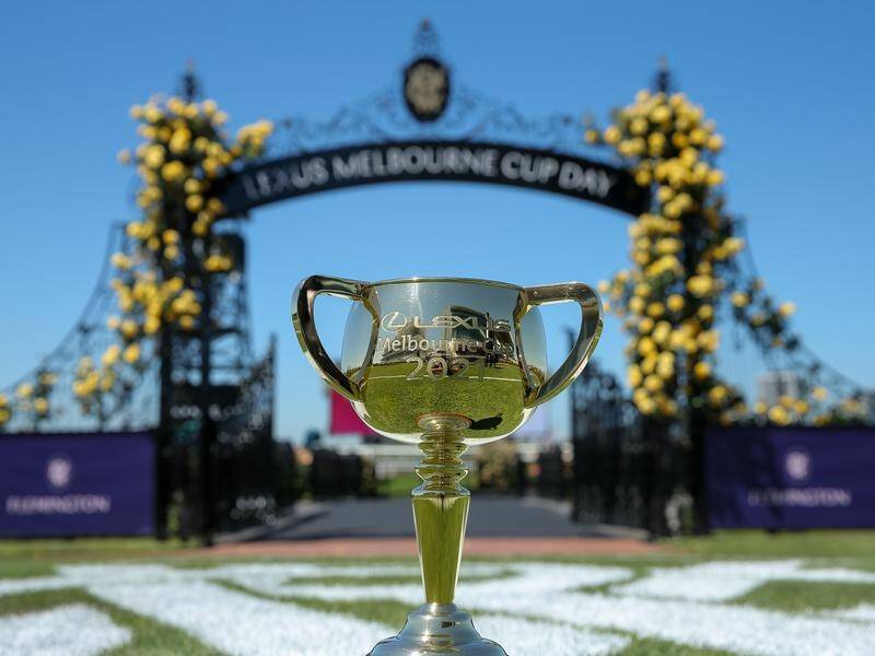 The Melbourne Cup is run annually at Flemington Racecourse on the first Tuesday of November.