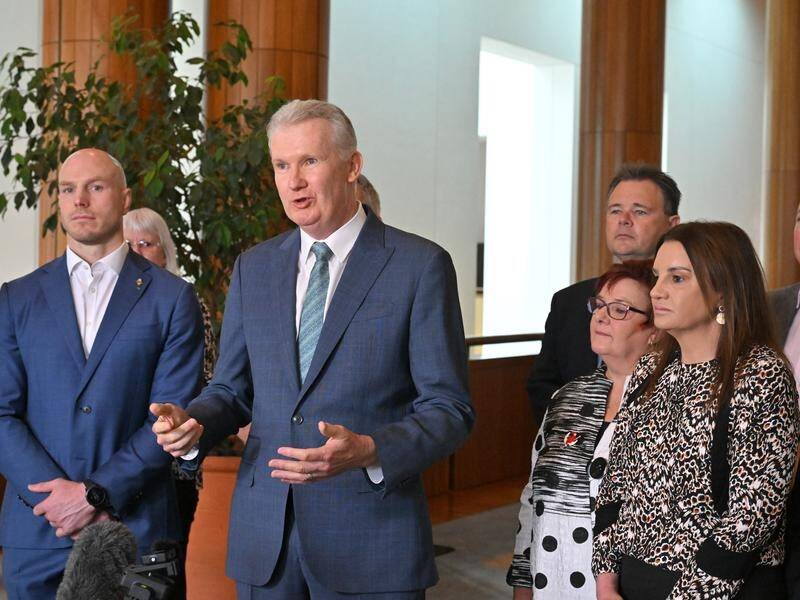 Workplace Minister Tony Burke secured crossbench support to pass key pieces of reform legislation. (Mick Tsikas/AAP PHOTOS)