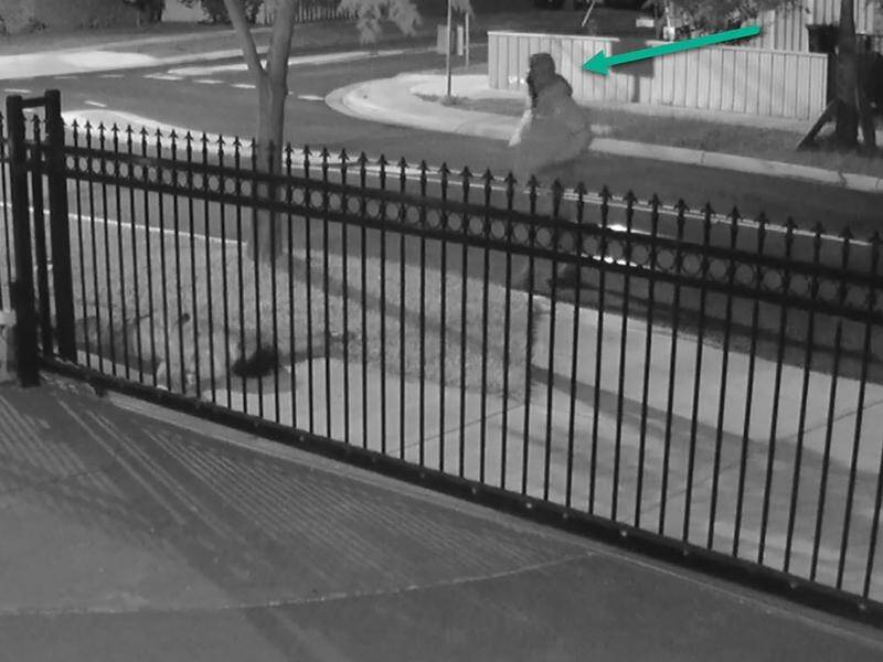 Security camera vision shows a man detectives seek to identify seen leaving the scene of a killing. (HANDOUT/VICTORIA POLICE)