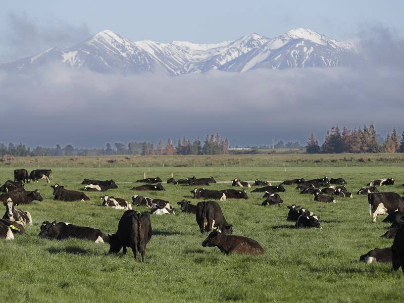 NZ farmers have been given big discounts under the country's emissions trading scheme.