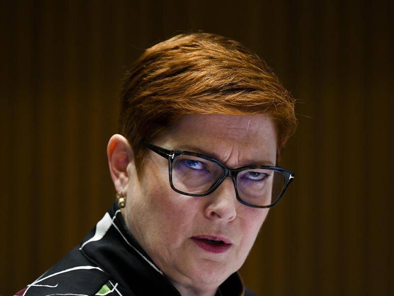 Foreign Minister Marise Payne says new Magnitsky-style laws will target human rights abusers