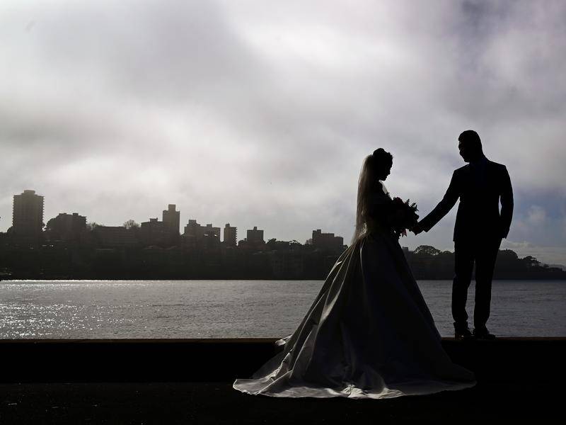 Millennials are in less of a hurry to marry and have kids, research shows.