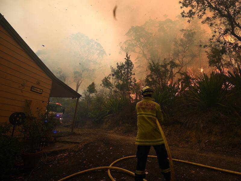 The fires are going to grow and come into Sydney's suburbs, says former fire chief Greg Mullins.