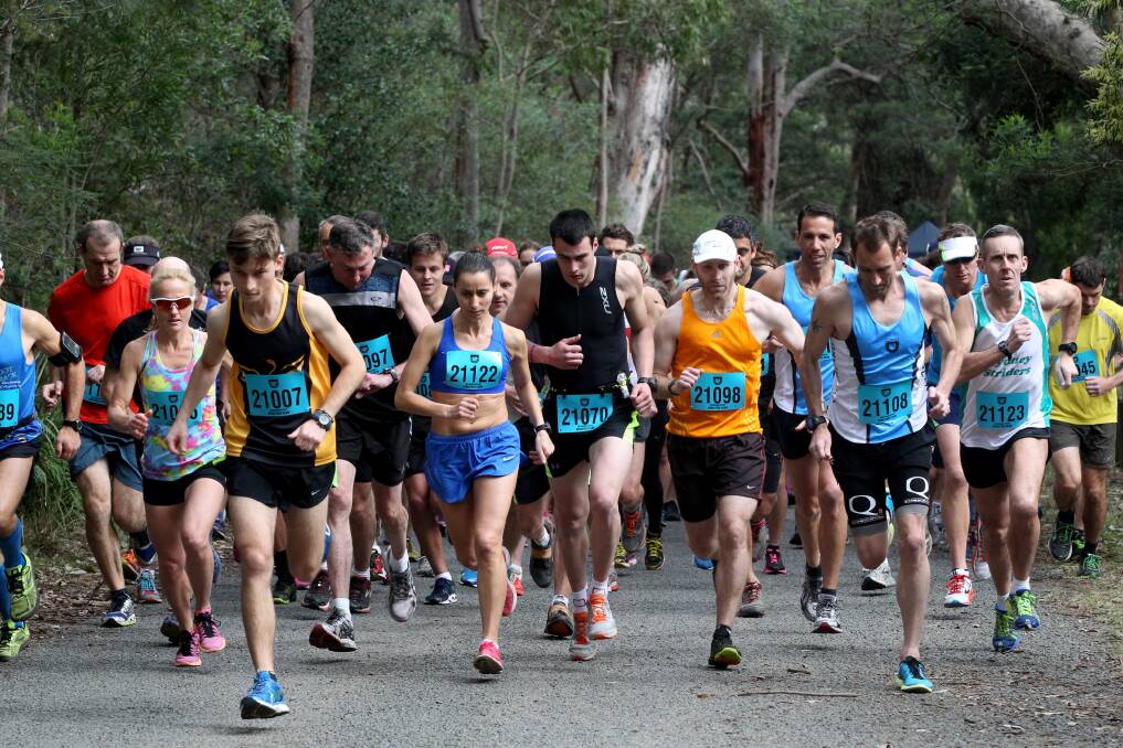 Putting their best feet forward: The field stretches out in the Sutherland Half Marathon on Saturday in the Royal National Park. Picture: Jane Dyson