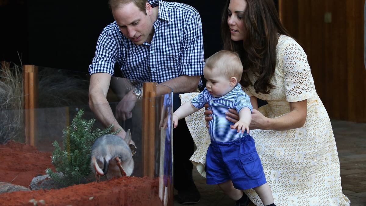 Catherine, Duchess of Cambridge holds Prince George of Cambridge as Prince William, Duke of Cambridge looks on whilst meeting a bilby called George at Taronga Zoo on April 20. Picture: Getty Images.