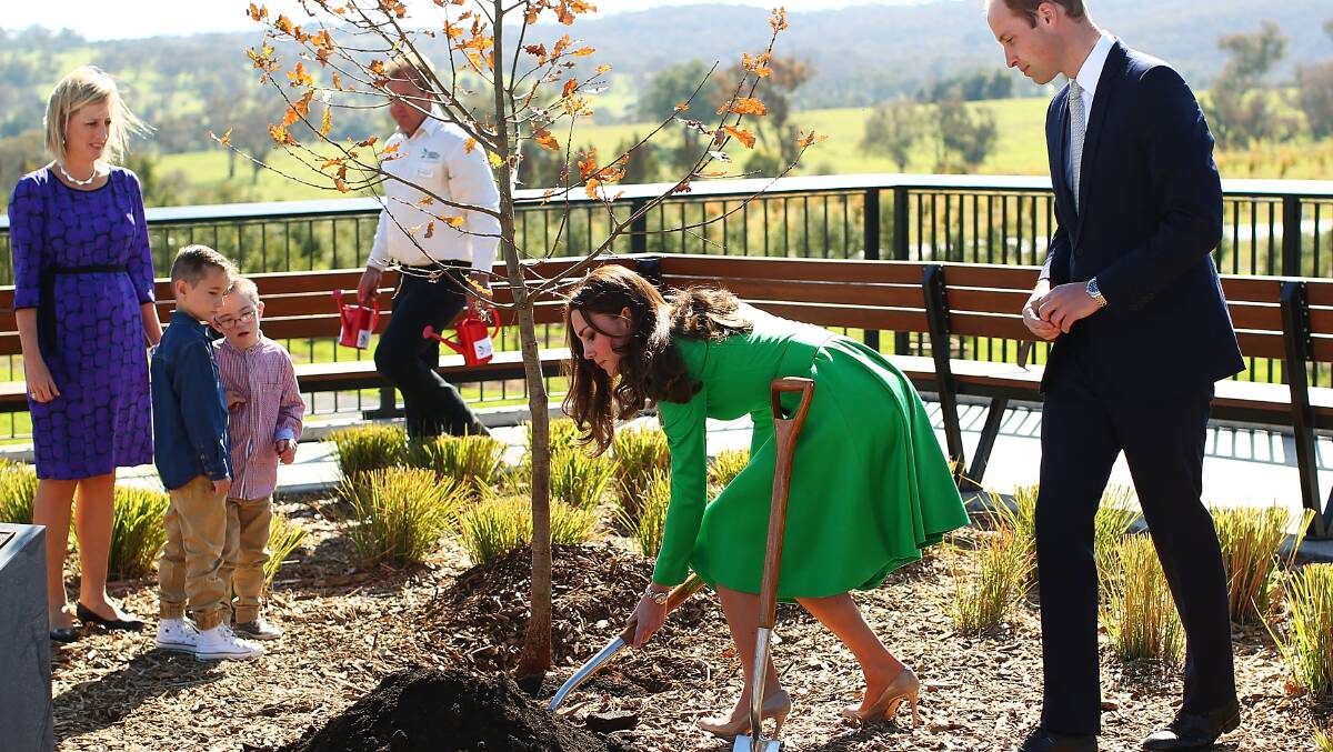 Catherine, Duchess of Cambridge and Prince William, Duke of Cambridge take part in a tree planting as they visit the National Arboretum on April 24 in Canberra. Picture: Getty Images.