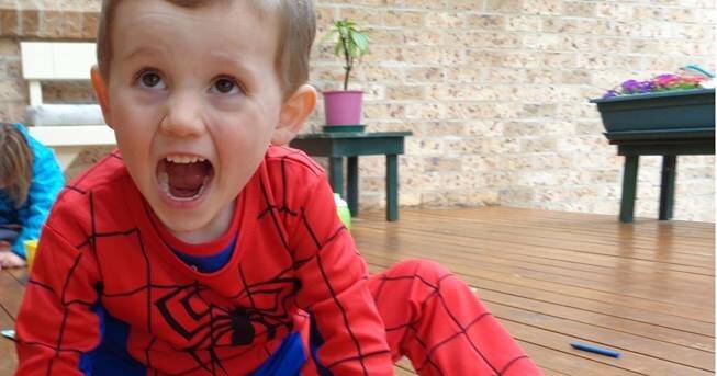 Three-year-old missing since Friday | St George & Sutherland Shire Leader | St George, NSW