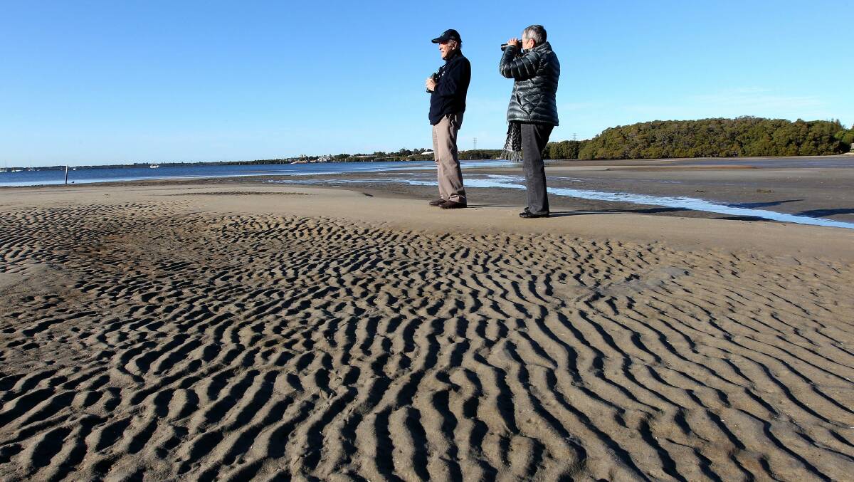 Bay of plenty: Phil Straw and Professor Joan Dawes at low tide at Taren Point with Towra Point Nature Reserve in the background. Picture: John Veage

