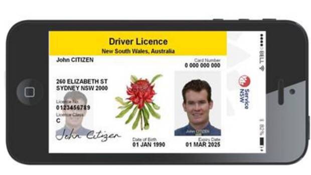 A supplied mock up of what the digital license might look like.
