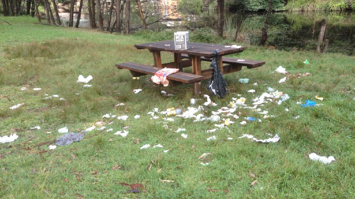 Royal picnickers rubbish park