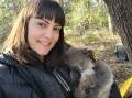 University of Sydney researcher with the School of Veterinary Science Valentina Mella says koalas can predict the hottest days from morning conditions and adjust their core temperatures accordingly. Picture supplied by University of Sydney.