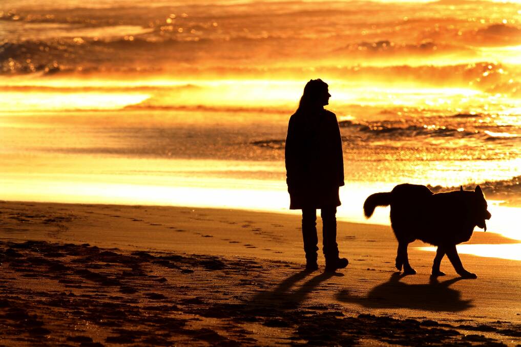 "Negative impact": Dog and owner on Wanda beach. Picture: John Veage