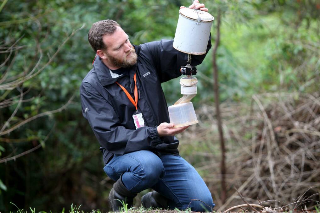 Mozzies beware: Dr Cameron Webb checks a mosquito trap at Lugarno. Picture: Jane Dyson