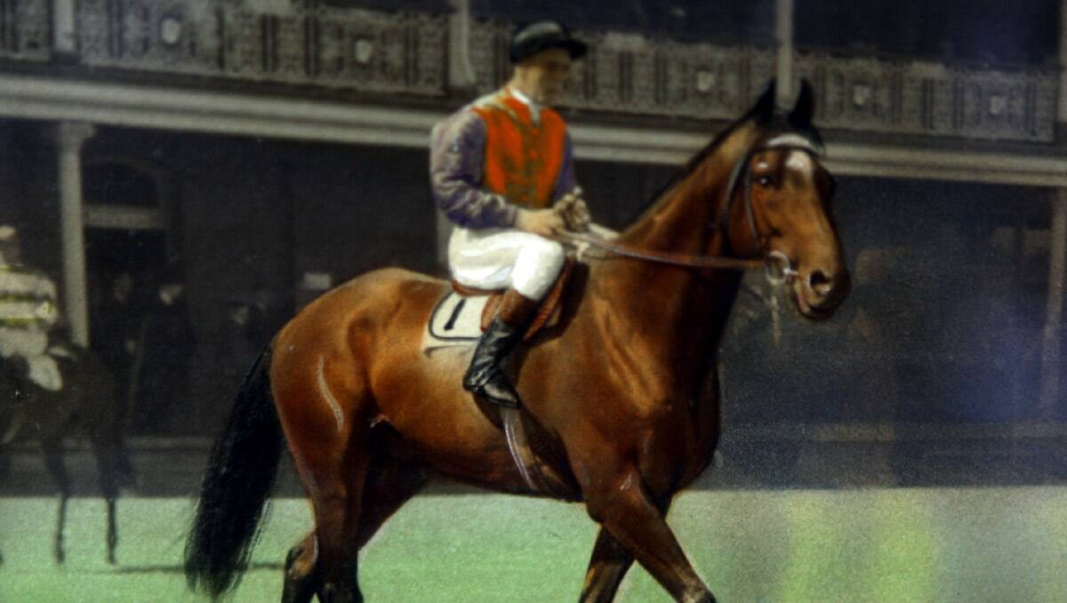 Mighty  Bernborough:  Bob Rowles’s photo of the great horse at Randwick before he won the 1946 Australia Day Handicap — Rowles’ first day as jockeys’ supervisor.